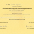 Powiększ obraz: certificate 4