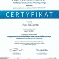 Powiększ obraz: certificate 29