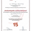 Powiększ obraz: certificate 20