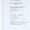 Powiększ obraz: certificate 3