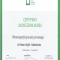 Powiększ obraz: certificate 4