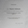 Powiększ obraz: certificate 13