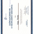 Powiększ obraz: certificate 10