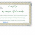 Powiększ obraz: certificate 5