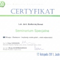 Powiększ obraz: certificate 16