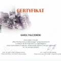 Powiększ obraz: certificate 9