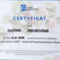 Powiększ obraz: certificate 4