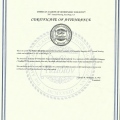 Powiększ obraz: certificate 2