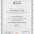 Powiększ obraz: certificate 1
