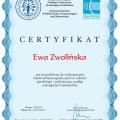 Powiększ obraz: certificate 2