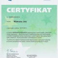 Powiększ obraz: certificate 19