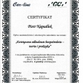 Powiększ obraz: certificate 11