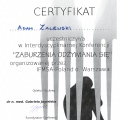 Powiększ obraz: certificate 20