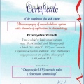 Powiększ obraz: certificate 11