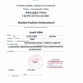 Powiększ obraz: certificate 11