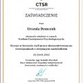Powiększ obraz: certificate 1