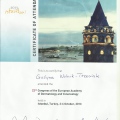 Powiększ obraz: certificate 9