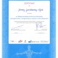 Powiększ obraz: certificate 31