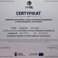 Powiększ obraz: certificate 9