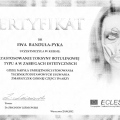 Powiększ obraz: certificate 1