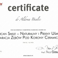 Powiększ obraz: certificate 5