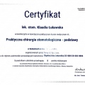 Powiększ obraz: certificate 3