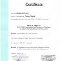 Powiększ obraz: certificate 3