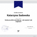 Powiększ obraz: certificate 4