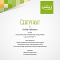 Powiększ obraz: certificate 7