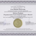 Powiększ obraz: certificate 6