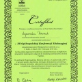 Powiększ obraz: certificate 15