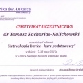 Powiększ obraz: certificate 12
