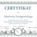 Powiększ obraz: certificate 1