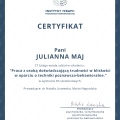 Powiększ obraz: certificate 2