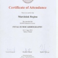 Powiększ obraz: certificate 10