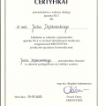 Powiększ obraz: certificate 22