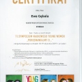 Powiększ obraz: certificate 41