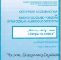 Powiększ obraz: certificate 2