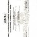 Powiększ obraz: certificate 2