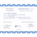 Powiększ obraz: certificate 1