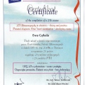 Powiększ obraz: certificate 30
