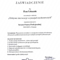 Powiększ obraz: certificate 7