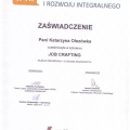 Powiększ obraz: certificate 6