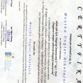 Powiększ obraz: certificate 6