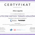 Powiększ obraz: certificate 9