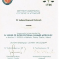 Powiększ obraz: certificate 9