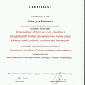 Powiększ obraz: certificate 1