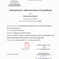 Powiększ obraz: certificate 21