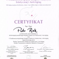 Powiększ obraz: certificate 10