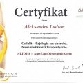 Powiększ obraz: certificate 8